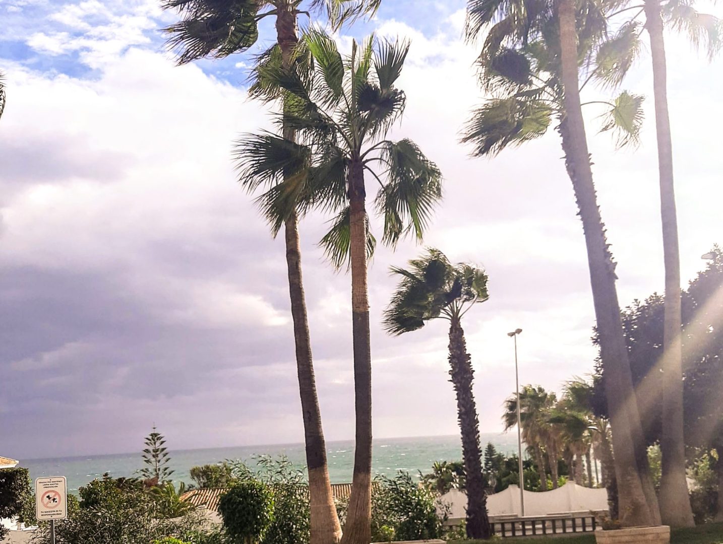 okolica